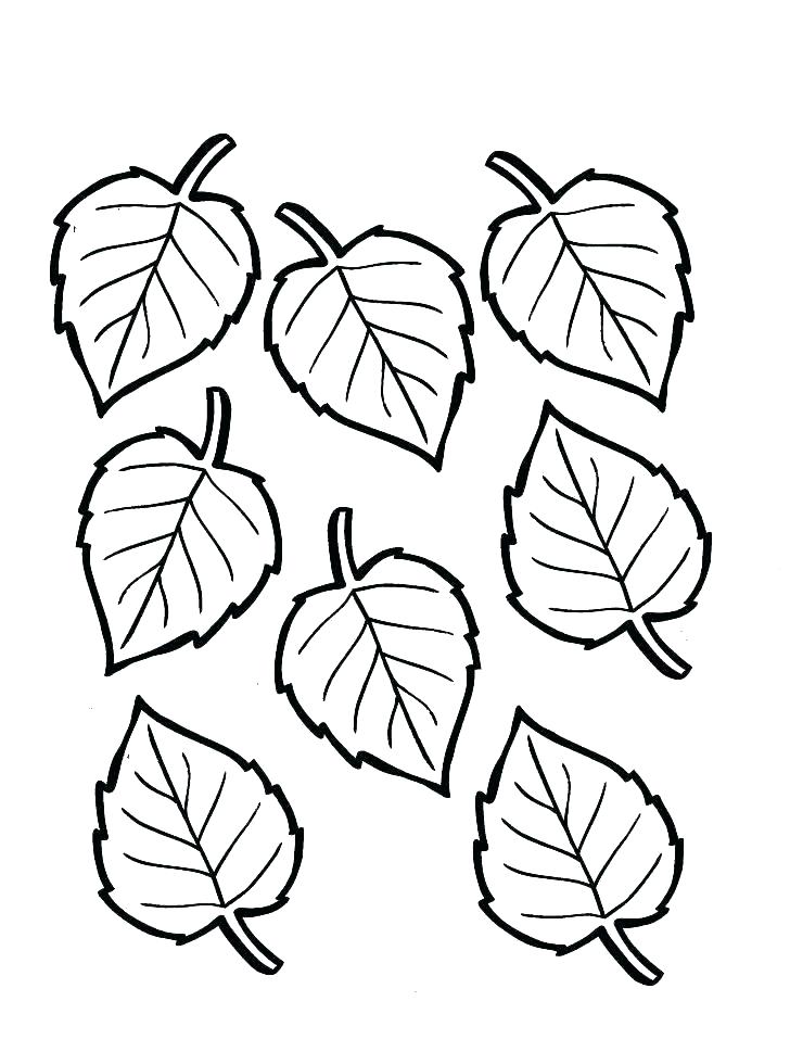 728x969 Autumn Leaves Coloring Pages Free Fall Leaves Coloring Pages Fall
