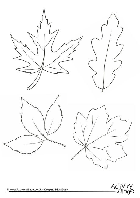 460x650 Autumn Leaves Colouring Page