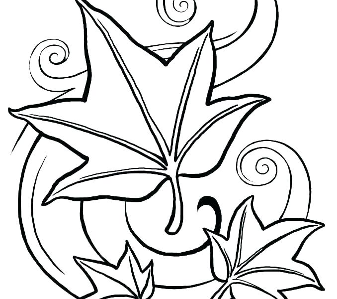 678x600 Fall Leaves Coloring Pages As Well As Fall Leaves Coloring Pages