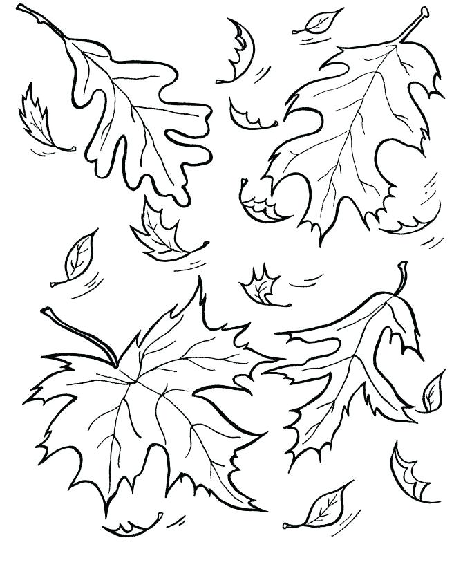 670x820 Fall Season Coloring Pages Fall Leaf Coloring Page Fall Season