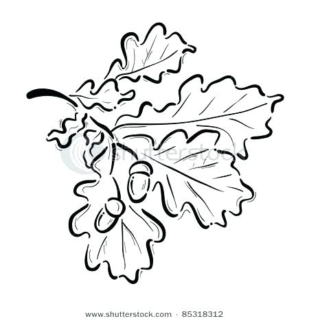 450x468 Leaf Colouring Picture Autumn Leaf Coloring Sheet Leaf Coloring