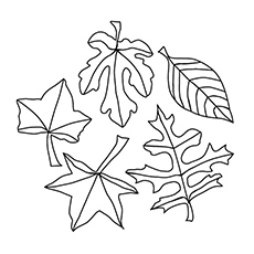 230x230 Top Free Printable Leaf Coloring Pages Online