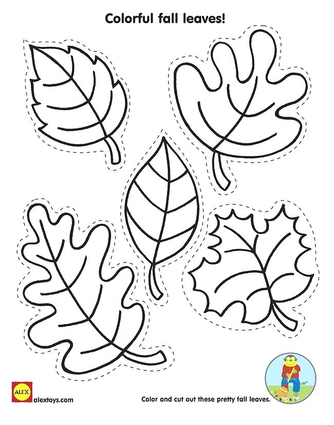 650x826 Falling Leaves Coloring Pages