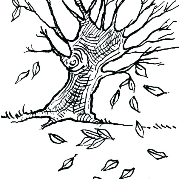 600x600 Leaves Coloring Pages For Preschoolers