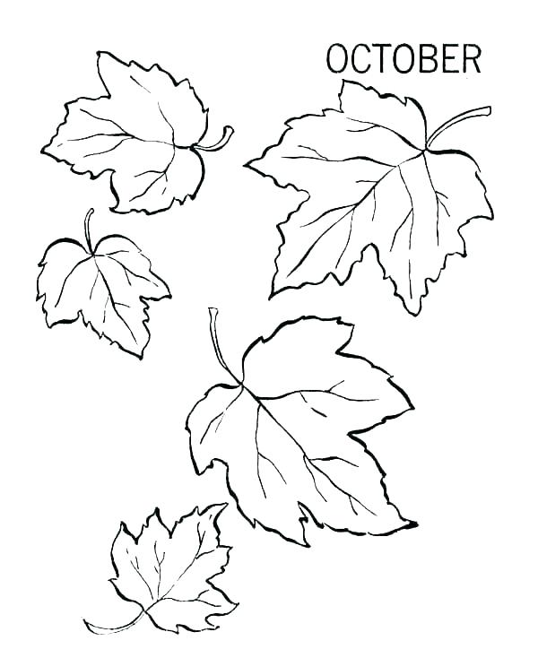 Fall Leaves Coloring Pages Printable at GetDrawings | Free download