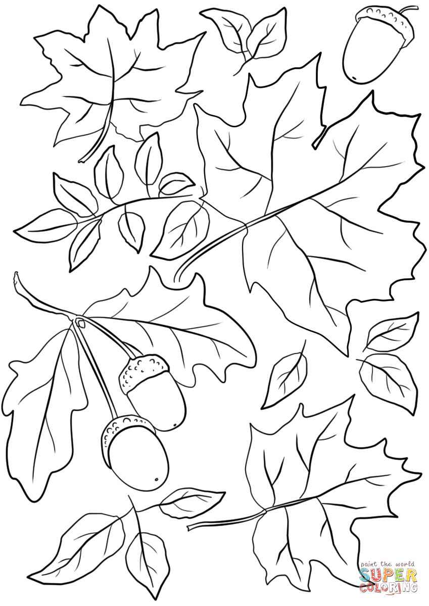 849x1200 Fall Leaves Coloring Pages Autumn And Acorns Page Free Printable
