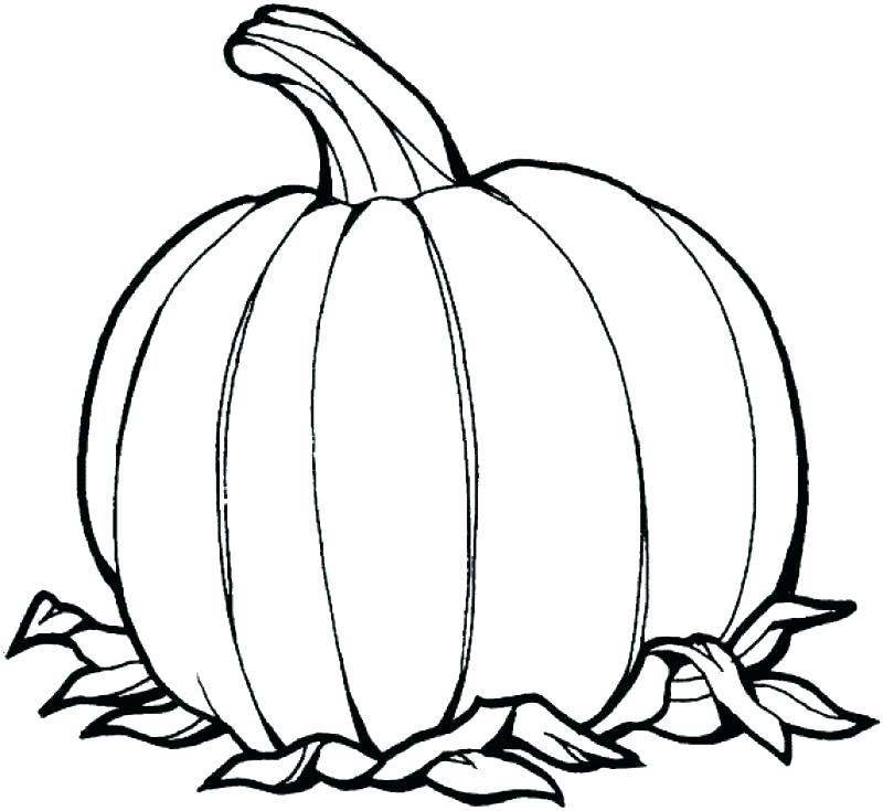 800x735 Pumpkin Coloring Pages Pumpkin Patch Coloring Page Pumpkin