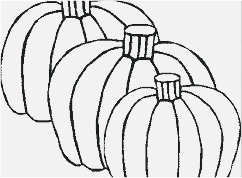 827x609 The Right Portraits Pumpkin Coloring Sheets Delightful