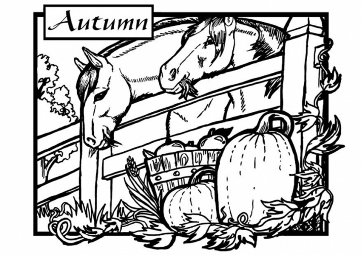 712x504 Fall Coloring Pages For All Ages