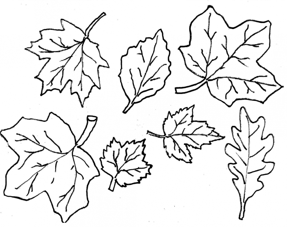 940x745 Fall Leaves Coloring Pages Coloring Page Fall Season Nature