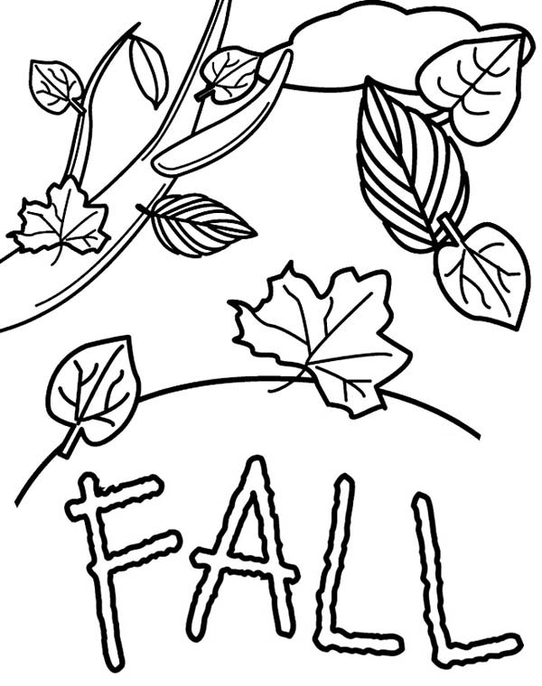600x760 Fall Leaves In Autumn Season Coloring Page Color Luna