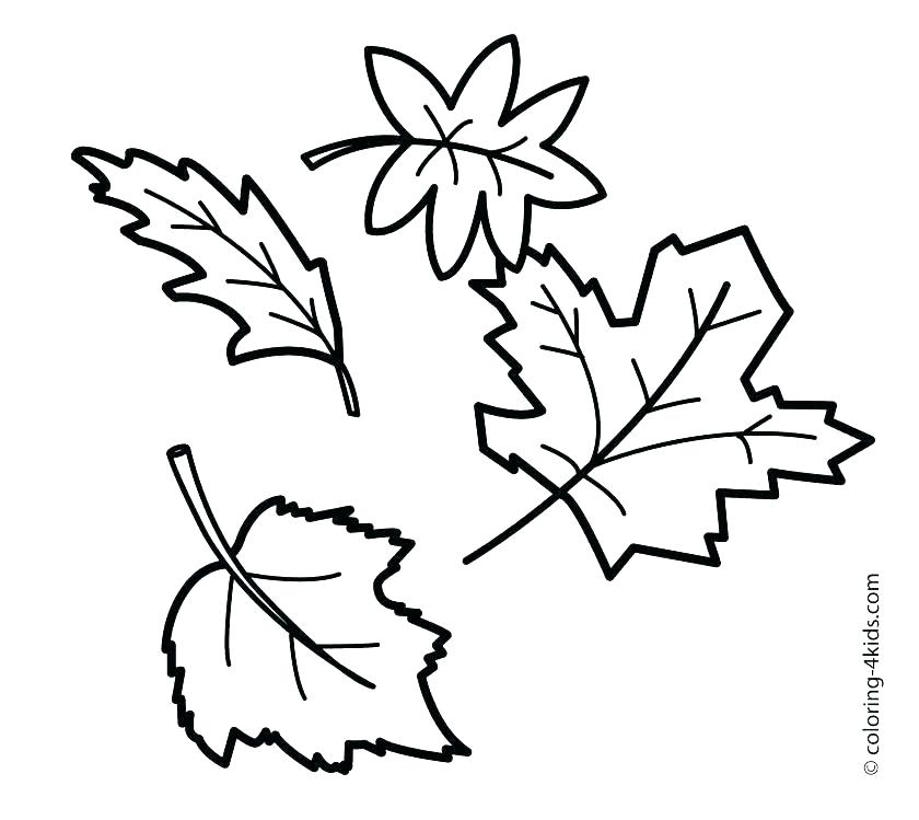 840x749 Free Printable Autumn Leaves Coloring Pages Icontent