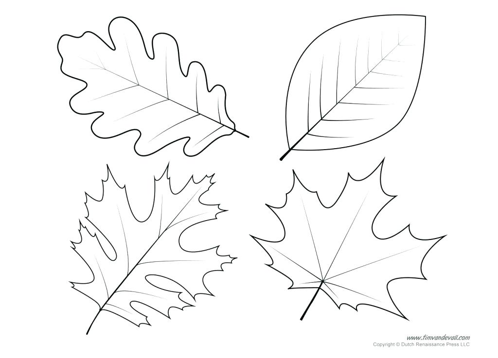 1024x737 Free Autumn And Fall Coloring Pages You Can Print Fall Theme