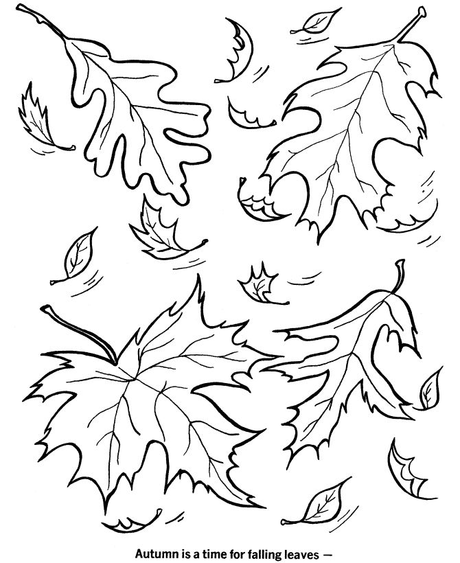 670x820 Best Coloring Pages Images On Fall Coloring Pages