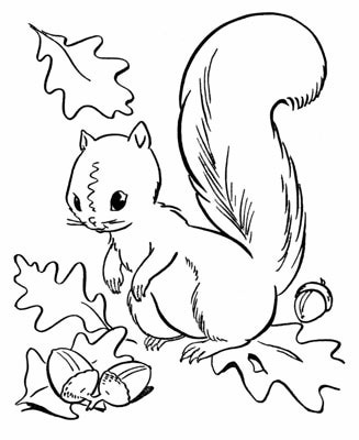 327x400 Fall Coloring Pages Coloring Page