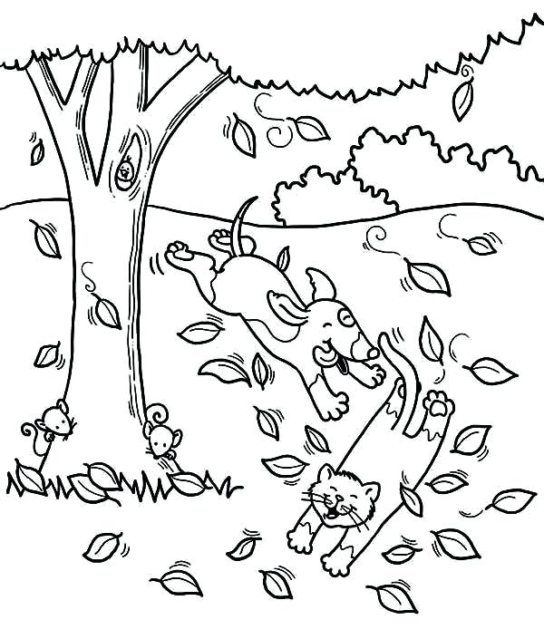 600x705 Fall Tree Coloring Page Tree Coloring Pages Palm Tree Inspiration
