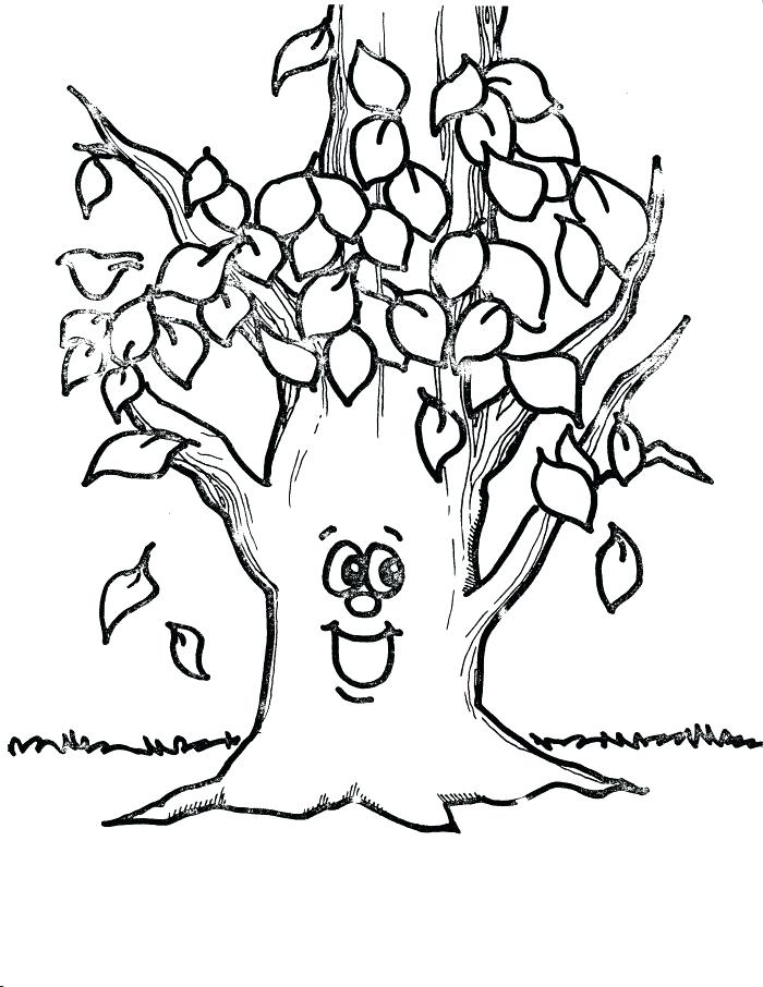 700x906 Fall Tree Without Leaves Coloring Page Kids Coloring Coloring
