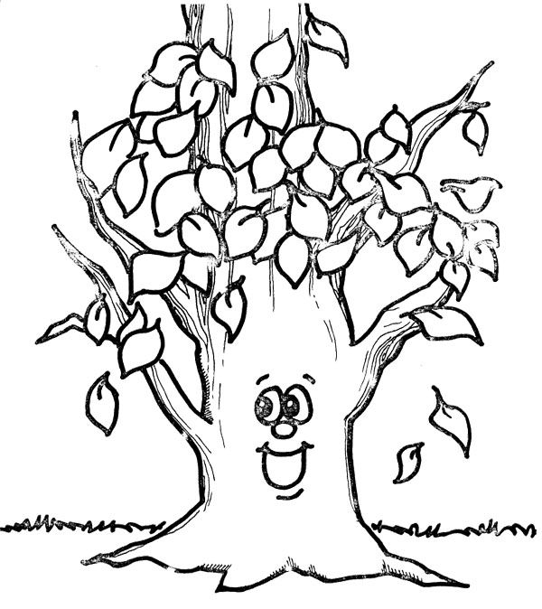 600x674 Free Printable Fall Tree Coloring Pages Beautiful Fall Tree