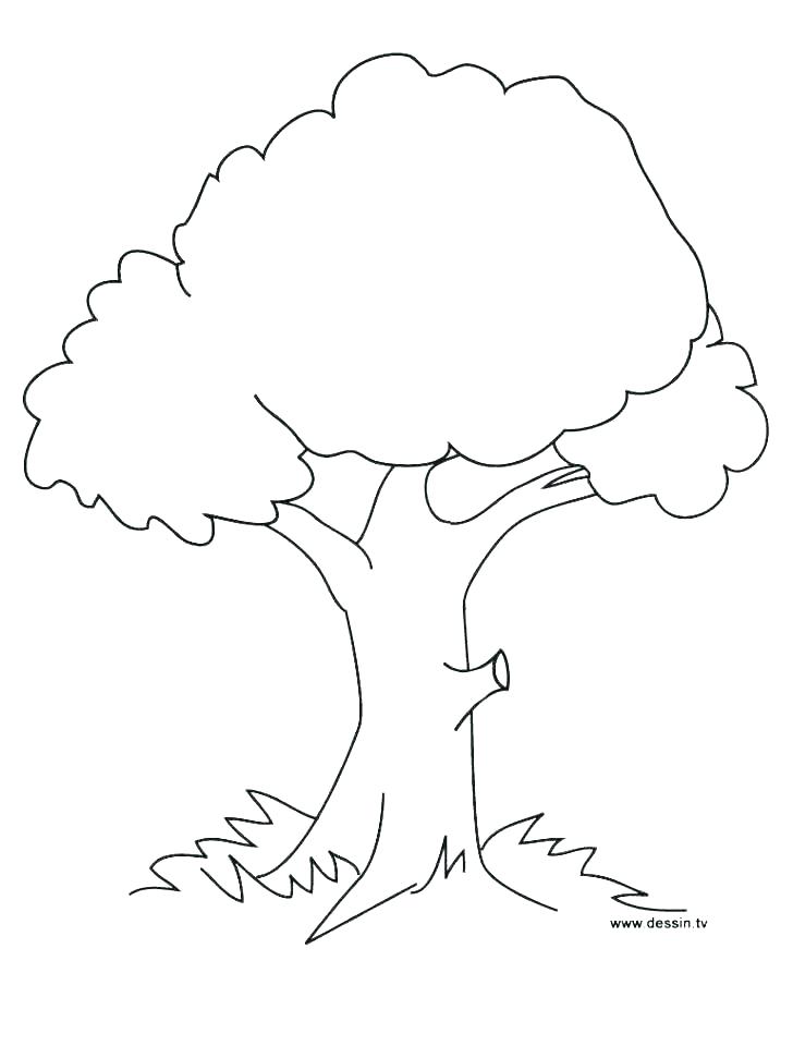 728x971 Printable Tree Coloring Pages Fall Tree Coloring Page Free