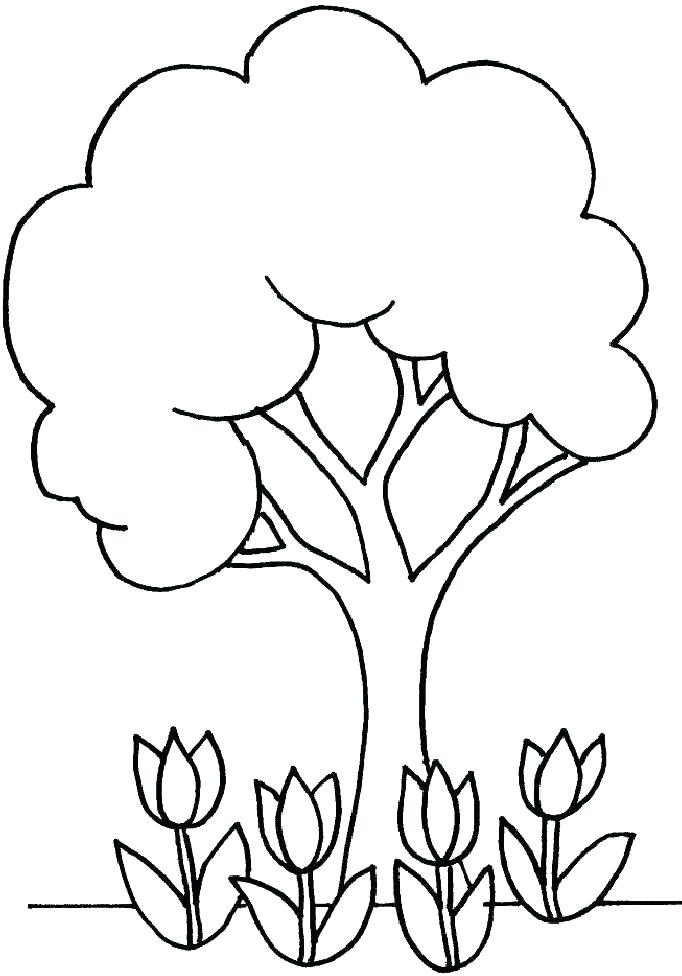 682x976 Tree Coloring Pages To Print Apple Page Together With Fall