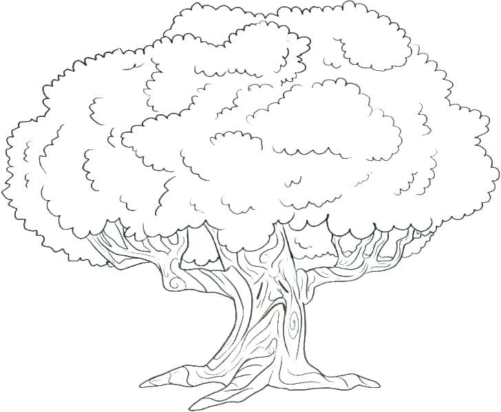 728x599 Coloring Pages Of Tree Frogs Coloring Pages Tree Free Tree