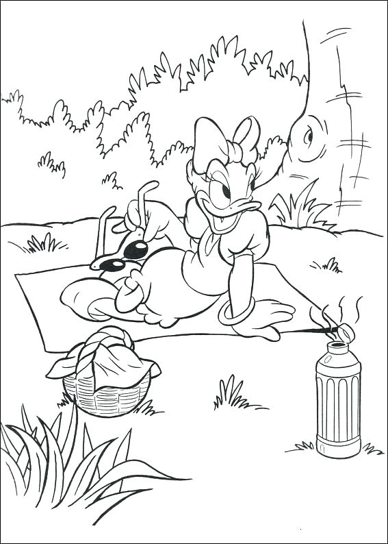 567x794 Picnic Coloring Pages Picnic Coloring Pages Daisy Having Picnic
