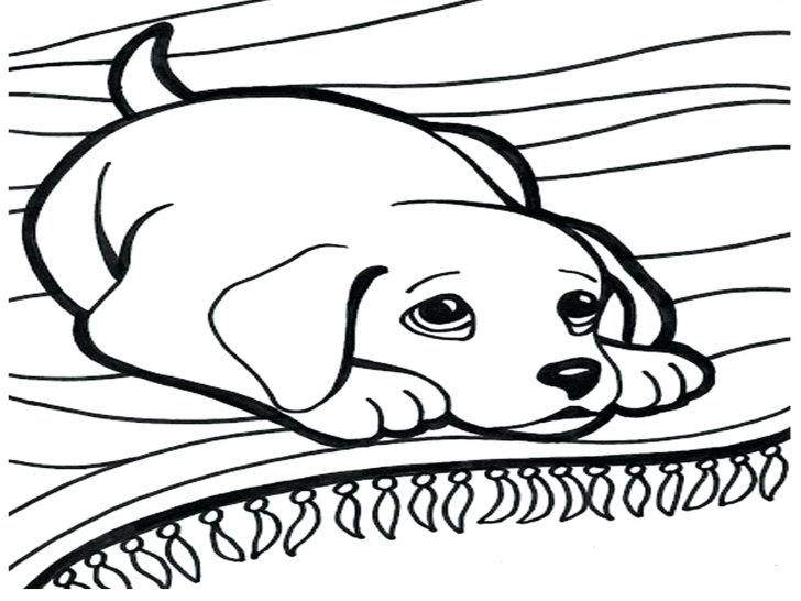 728x546 Rich Family Picnic Coloring Pages For Girls Dog The Sun Flower
