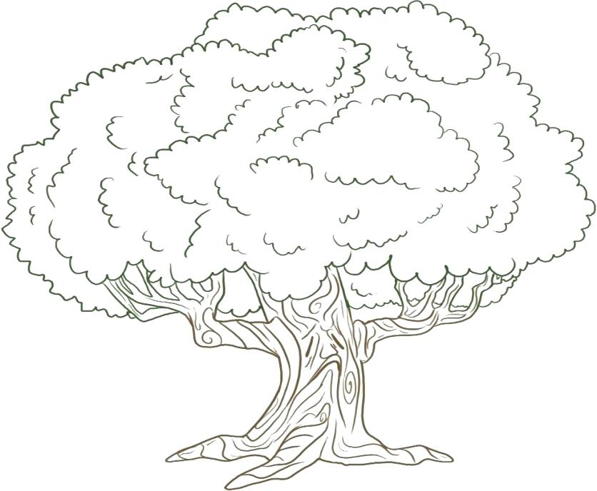 836x688 Printable Tree Coloring Pages Free Printable Tree Coloring Pages
