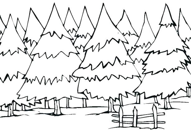 614x424 Tree Coloring Pages Coloring Pages Trees Coloring Pages