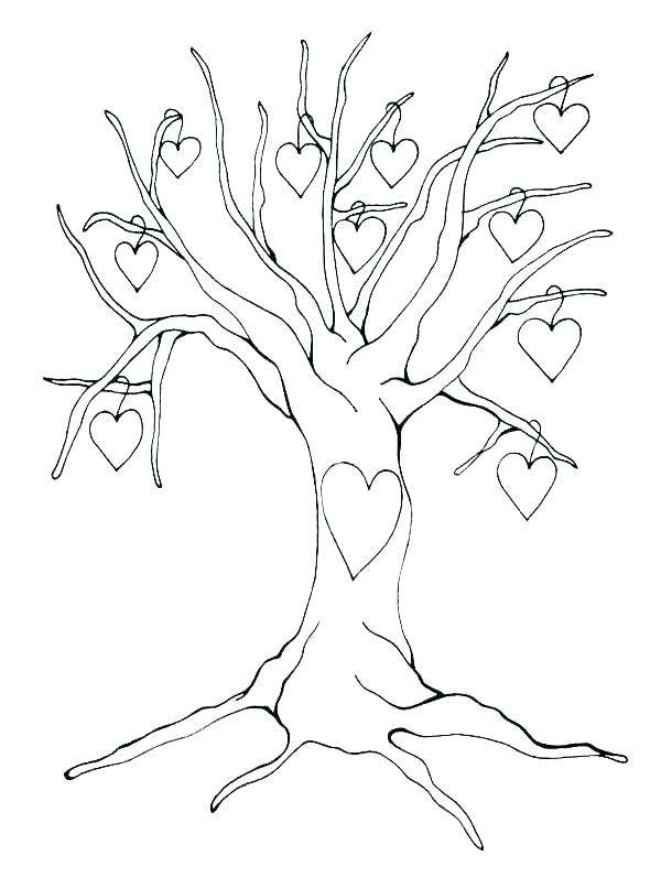 600x806 Coloring Pages Of Trees Coloring Page Tree Coloring Page Tree Tree
