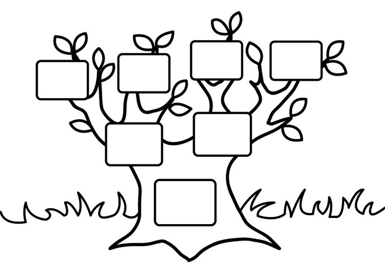 750x531 Coloring Page Empty Family Tree