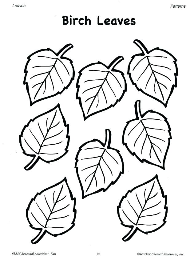 618x845 Family Tree Coloring Page Various Family Tree Coloring Pages