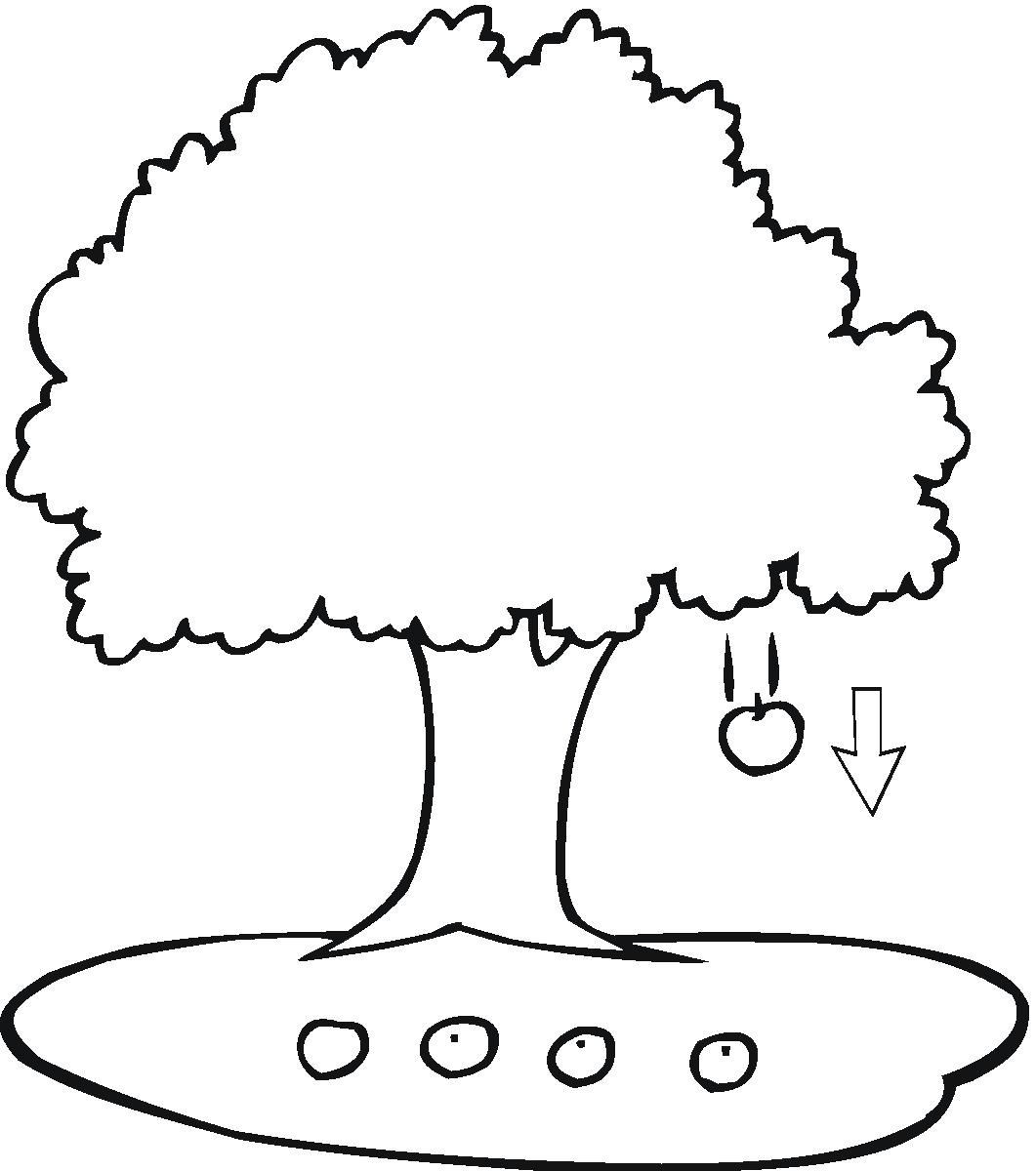 1061x1200 Family Tree Coloring Pages Printable Free Coloring For Kids