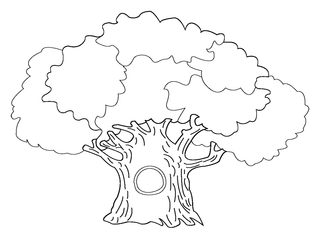 1024x784 Family Trees Coloring P Superb Family Tree Coloring Pages