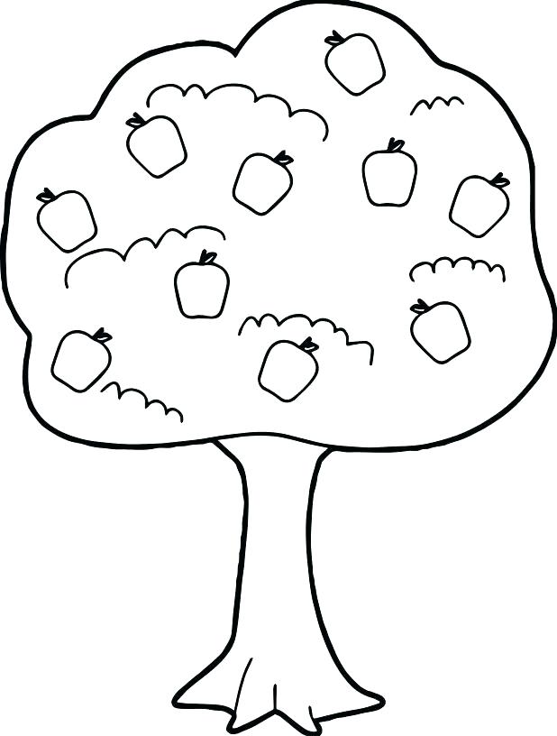 618x816 Life Cycle Apple Tree Coloring Page Tree Coloring Pages Family