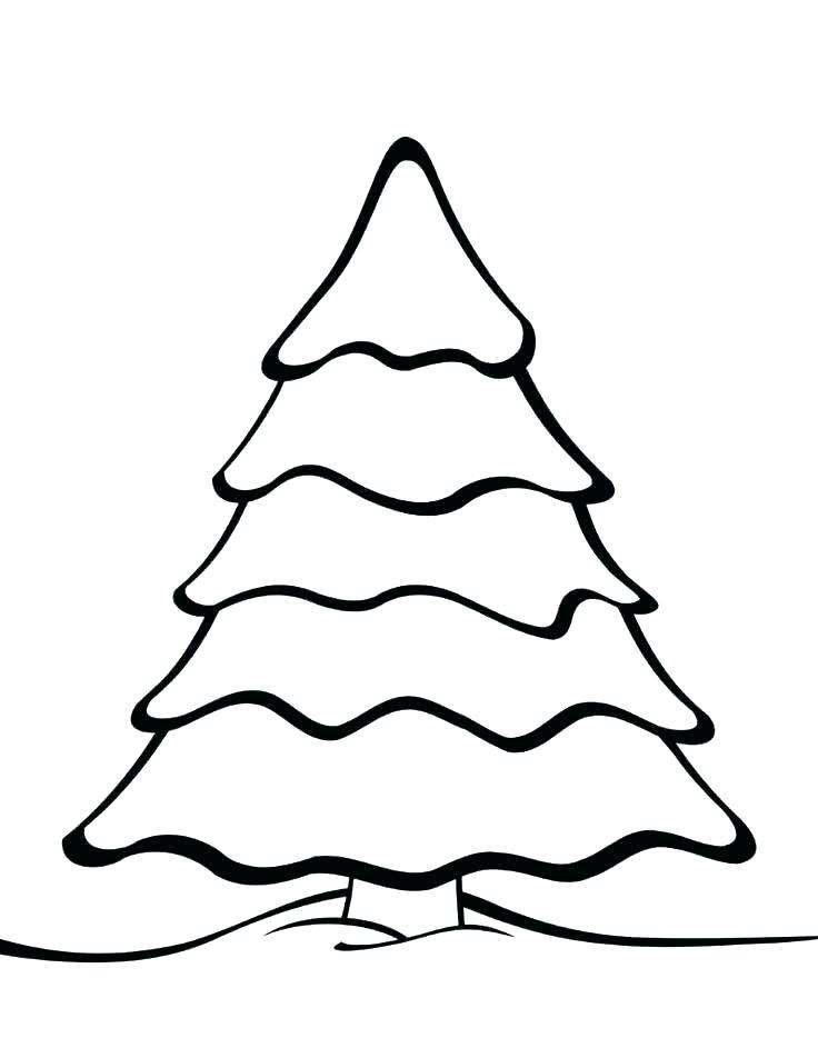 736x952 Coloring Page Of A Tree Unique Tree Coloring Page And Tree