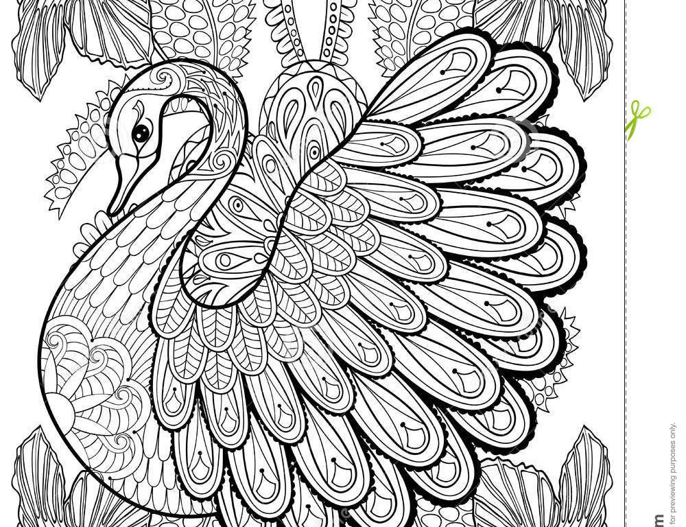 1000x768 Coloring For Kids Modernt Pages Staggering Free To Print Download