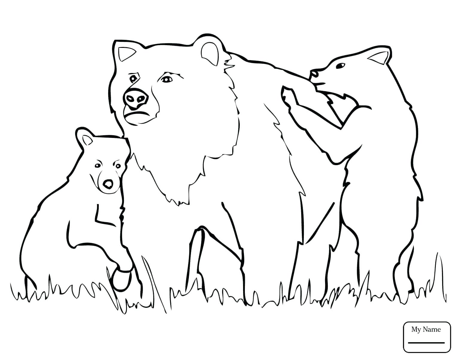 1530x1200 Fantastic Coloring Pages Of Grizzly Bears Gallery Resume Ideas