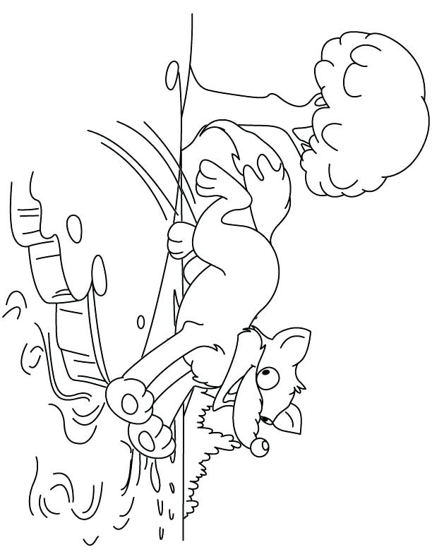 612x792 Fantastic Mr Fox Printable Coloring Pages Jumps Into The Water