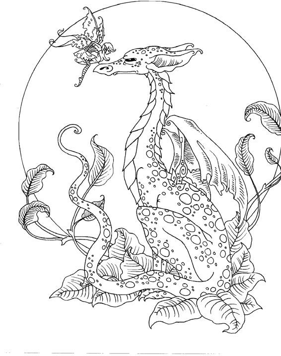 566x718 Dragon And Fairy Coloring Pages Image Result For Free Fantasy