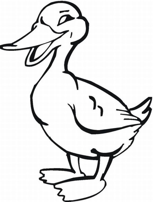 578x763 Free Printable Farm Animal Coloring Pages For Kids