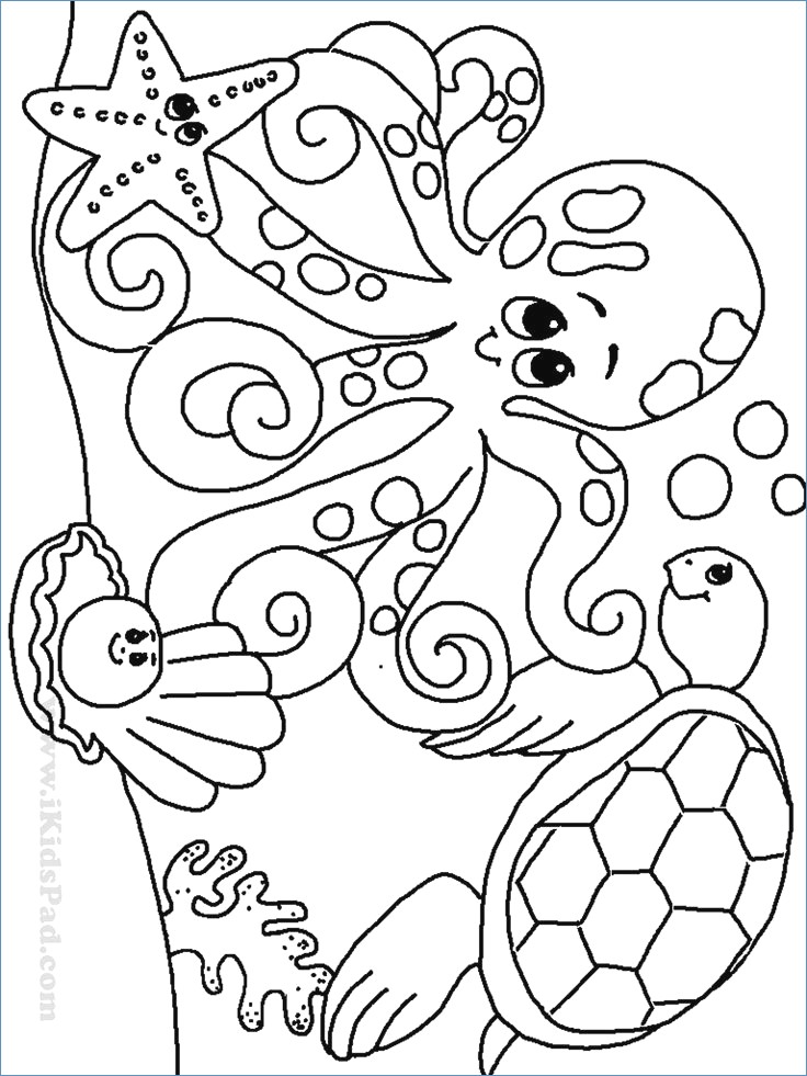 736x981 Hello Kitty On The Farm Coloring Pages
