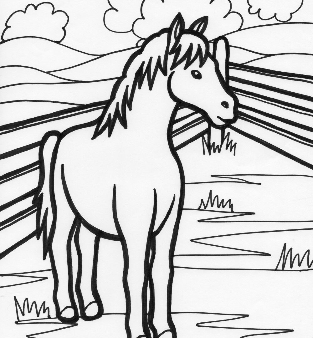 1000x1080 Preschool Printablem Coloring Pages Animal Colouring Sheets Free