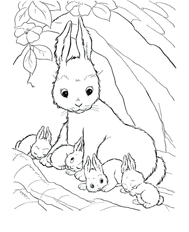 650x796 Farm Coloring Pages Rabbit Farm Animal Coloring Page Farm Coloring