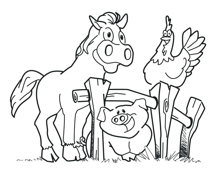 736x590 Preschool Animal Coloring Pages Free
