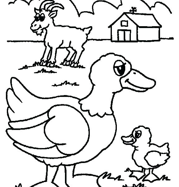 576x600 Preschool Farm Animal Coloring Pages Farm Animal Coloring Pages