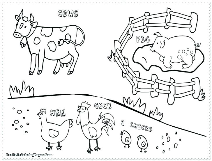 728x553 Farm Animal Coloring Pages For Preschoolers Coloring Animal Pages
