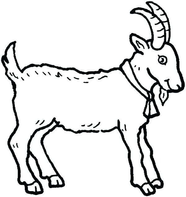 600x638 Farm Color Pages Animal Farm Coloring Pages Preschool Coloring