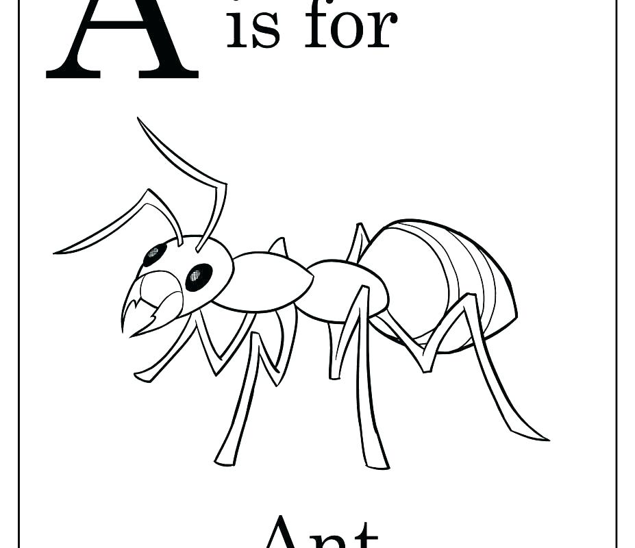 927x800 Free Farm Coloring Pages Free Farm Animal Coloring Pages