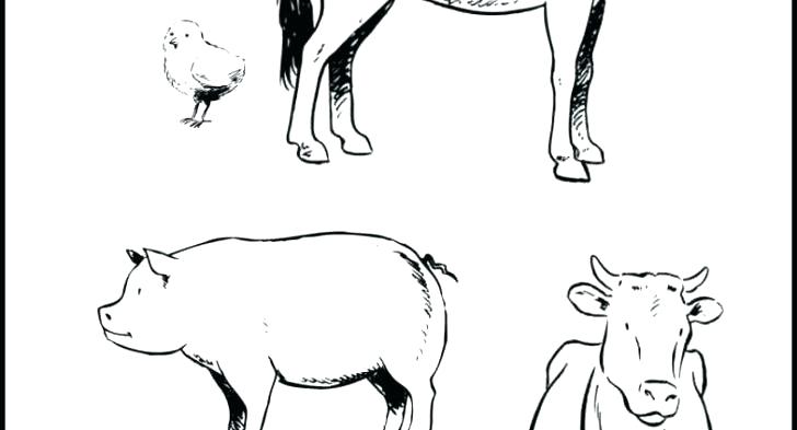 728x393 Barnyard Animals Coloring Pages Farm Animals Preschool In Addition